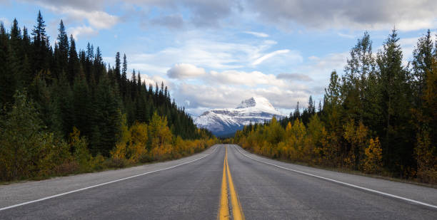 istock low angle view of a road the mountains with clouds in autumn 1315031502