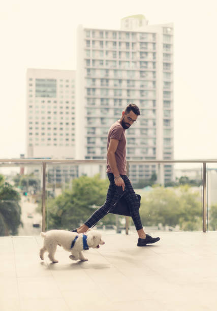 Hispanic man walking in the city with small dog
