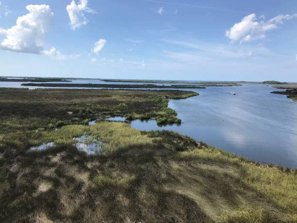 istock Ariel View of an Estuary on the Golf Coast 1315034444