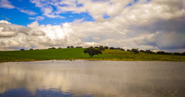 Taken in Ferreira do Alentejo, Beja, Portugal