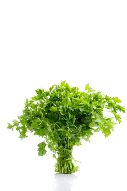 istock A bunch of parsley on white background 1315035168