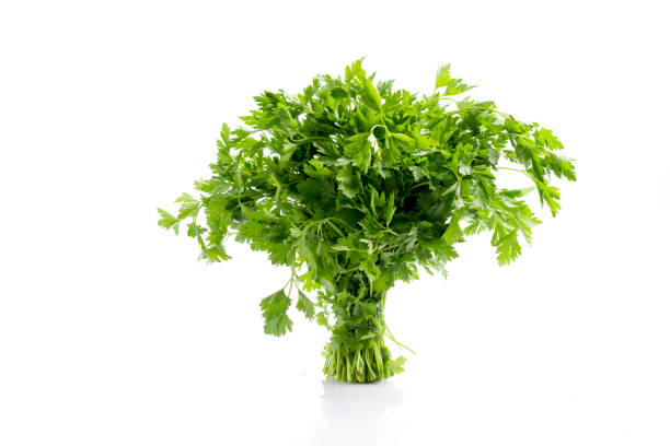 istock A bunch of parsley on white background 1315035186