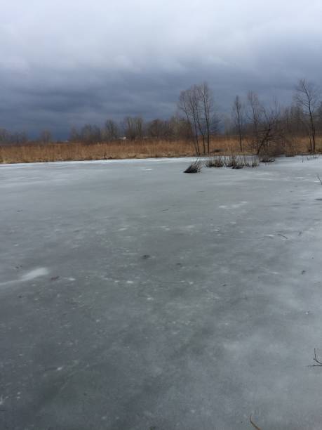 istock Frozen Lake in Indiana during the winter 1315035307