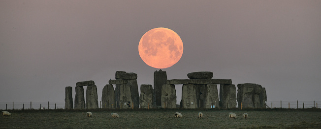 A Pink Super Full moon rises  over the ancient stone circle of Stonehenge in Wiltshire, UK as sheep graze in adjacent fields.\nStraight shot of a natural event, no photo manipulation