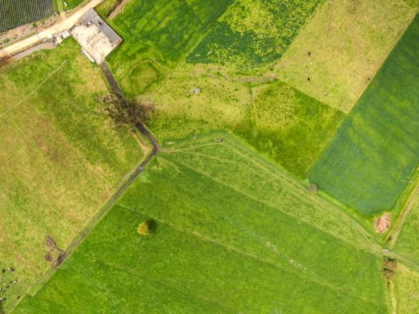istock Aerial view of crops 1315035987