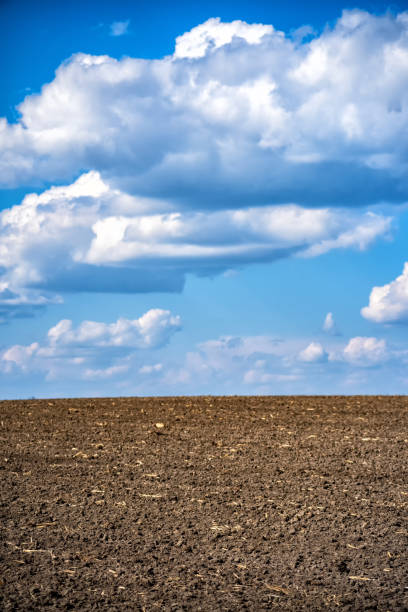 istock plowed field against the sky with clouds 1315036632