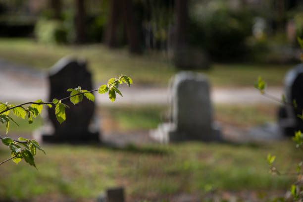 istock two tombstones on a grave yard, backview, focus on leaves in the foreground 1315037280