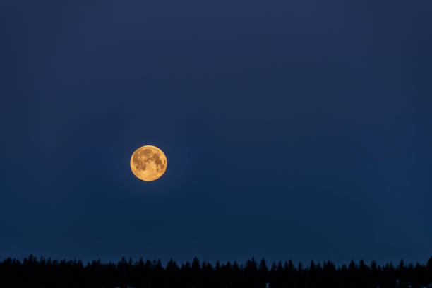 Orange full moon with dark blue sky and forest in Jizerske mountains in spring morning