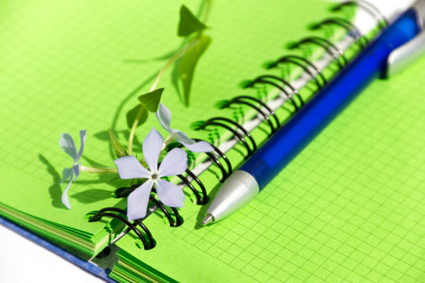 pink notebooks with pen and flower