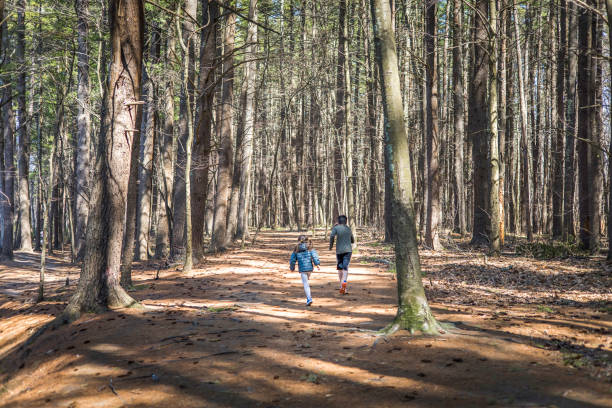 istock Children walking down a path through the middle of the forest 1315041106