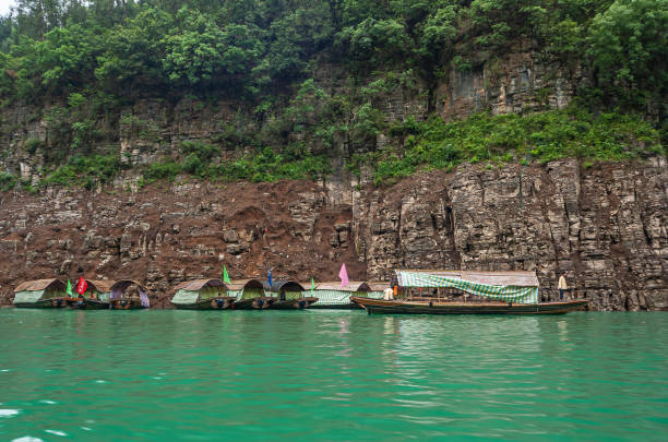 8 Covered sampans docked in Mini Three Gorges, Wushan, Chongqi Wushan, Chongqing, China - May 7, 2010: Mini Three Gorges. 8 covered tourist sampans with docked against brown cliff rock behind emerald green water. Green foliage. Flags add color. folliage stock pictures, royalty-free photos & images
