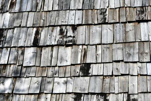natural wooden roof