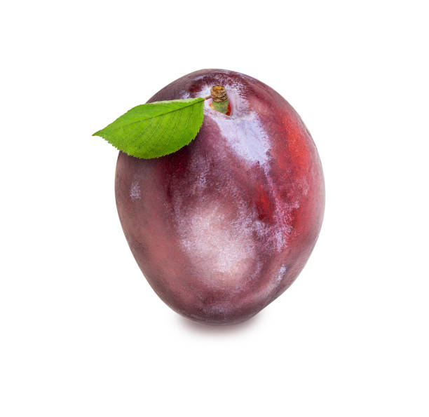 istock Plum with leaves isolated on white background with clipping path 1315042676