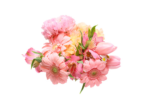 Pictured various kind of flowers in a white background.