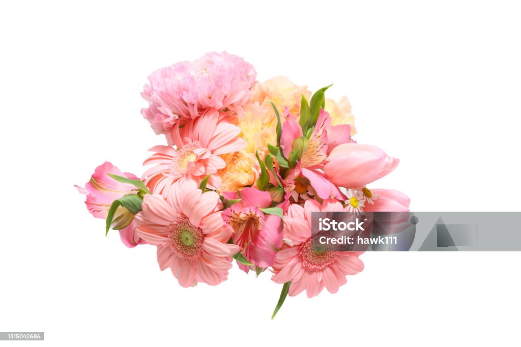 various kind of flowers in a white background Pictured various kind of flowers in a white background. Flower Stock Photo