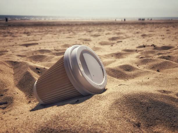 одноразовые чашки кофе на вынос отбрасываются на пляже сэнди - 5470 стоковые фото и изображения