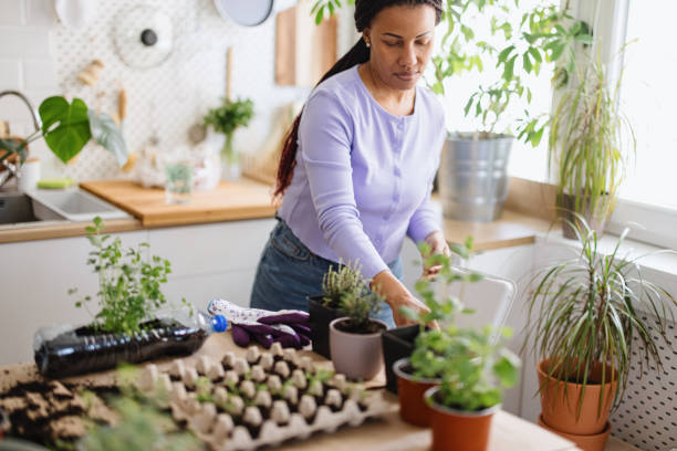 istock Woman throws banana peel into compost bin 1315043853