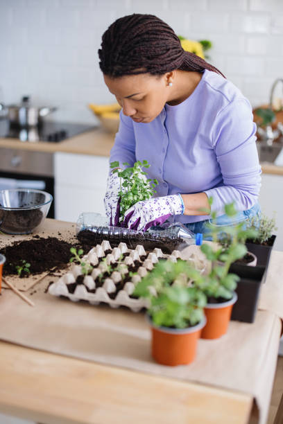 istock Woman using recycled plastic bottle to plant parsley 1315043898
