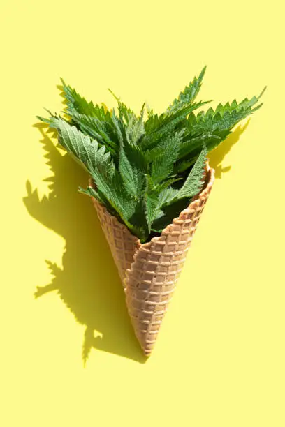 Ice cream waffle cone with nettle isolated on yellow background
