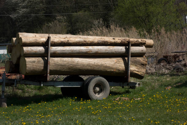 istock wood transport and logistics in forestry 1315049264