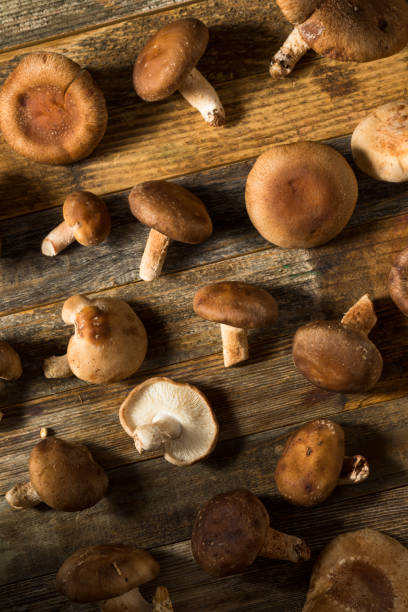 istock Raw Organic Shiitake Mushrooms 1315049838