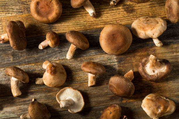 istock Raw Organic Shiitake Mushrooms 1315049864