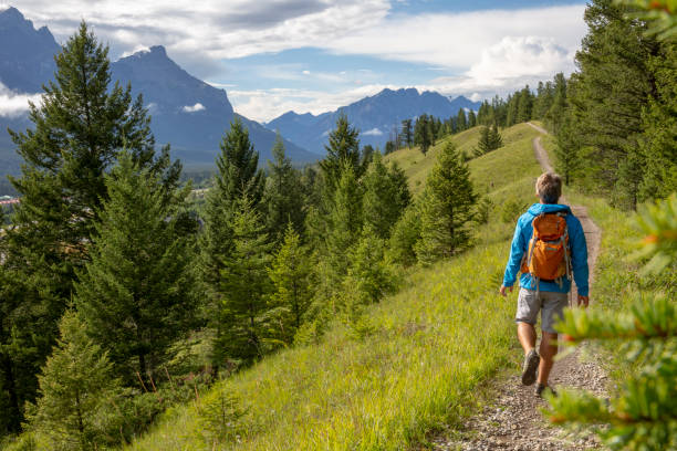 istock Mature man hikes along mountain trail towards mountains 1315051416