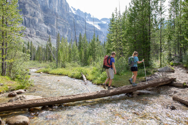 les randonneurs traversent un ruisseau de montagne sur un rondin - hiking young women outdoors t shirt photos et images de collection