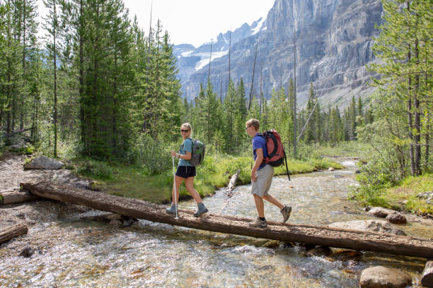 les randonneurs traversent un ruisseau de montagne sur un rondin - hiking young women outdoors t shirt photos et images de collection