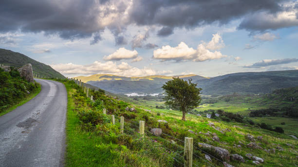 istock Landscape with single tree on the hill and winding road in Black Valley 1315052515