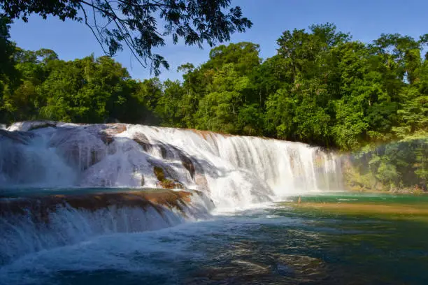 Photo of Cascadas de Agua Azul are a series of waterfalls found on the Xanil River in the state of Chiapas, Mexico