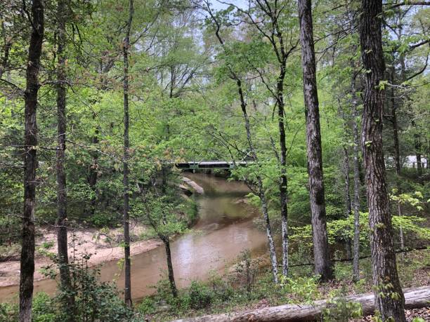 istock View of river and bridge 1315053186