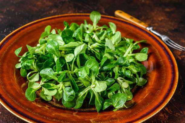 istock Fresh green corn salad leaves on a rustic plate. Dark background. Top view 1315060876