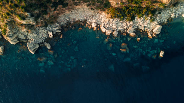 istock Aerial view of sea 1315060896