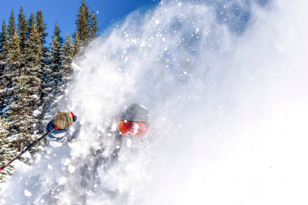 narciarz schodzi głęboki śnieg w proszku przez las - skiing winter sport powder snow athlete zdjęcia i obrazy z banku zdjęć