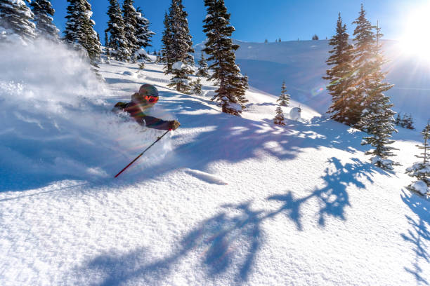 istock Skier descends deep powder snow through forest 1315063117