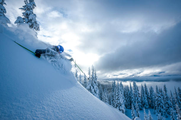 narciarz schodzi głęboki śnieg w proszku przez las - skiing winter sport powder snow athlete zdjęcia i obrazy z banku zdjęć