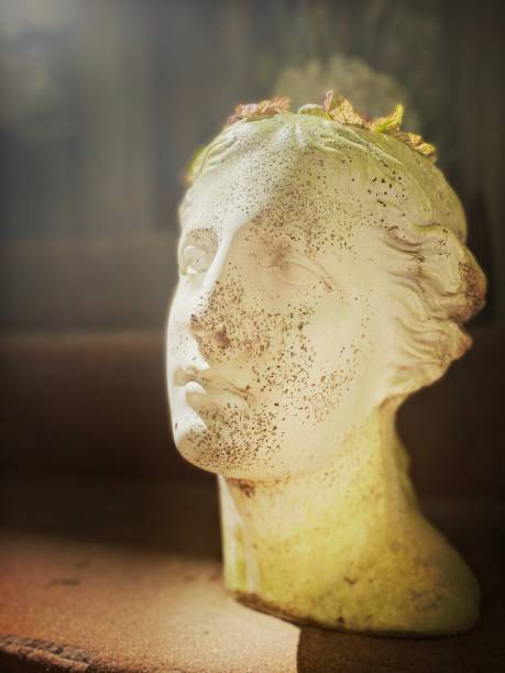 istock Face Planter on a Porch 1315067855