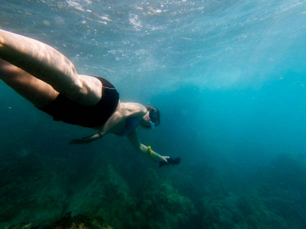 istock Underwater adventures in Hawaii. 1315068881