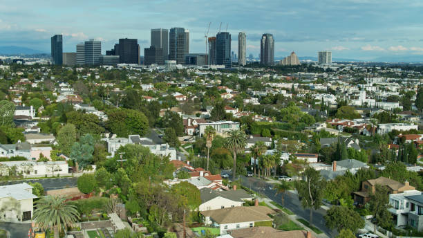 istock Distant Century City Skyline - Aerial 1315075787