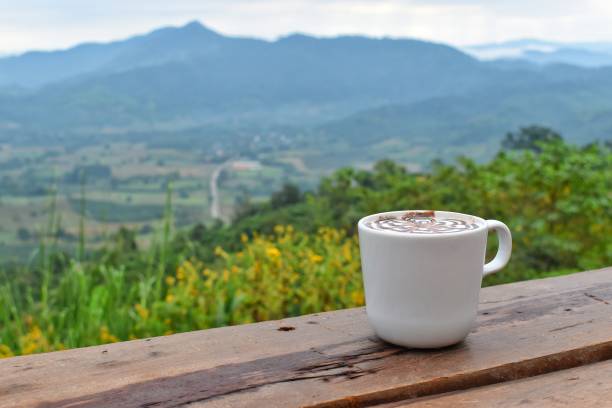 istock Hot chocolate and nature view. 1315088190