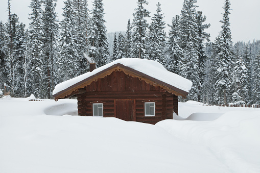 Small cabin in snowy woods. Winter landscape.