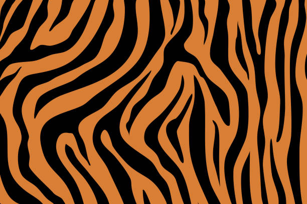 Tiger Pattern Illustration Stock Illustration - Download Image Now - Tiger,  Striped, Backgrounds - iStock