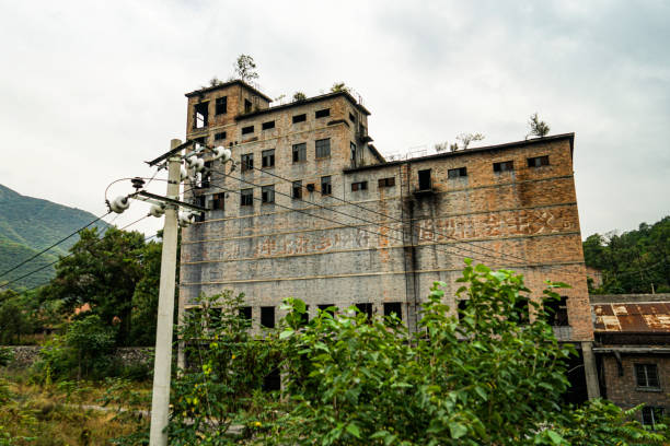 istock Abandoned factory building in the forest 1315107896