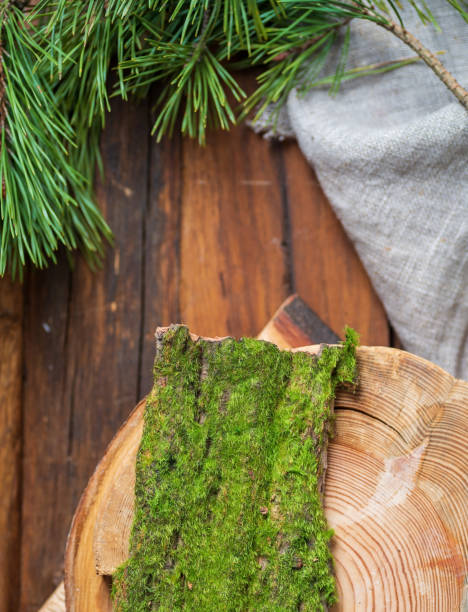 istock A fragment of a tree with moss on a dark table, gray linen cloth, tablecloth with a pine branch. 1315109162