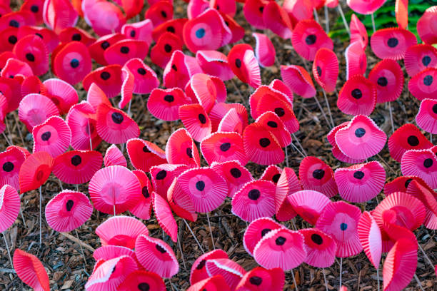 istock Handmade Poppies for ANZAC Day 1315111263