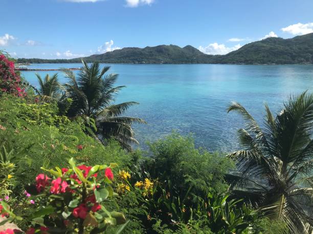 istock Seychelles - praslin - panorama on Saint Anne's bay 1315112045