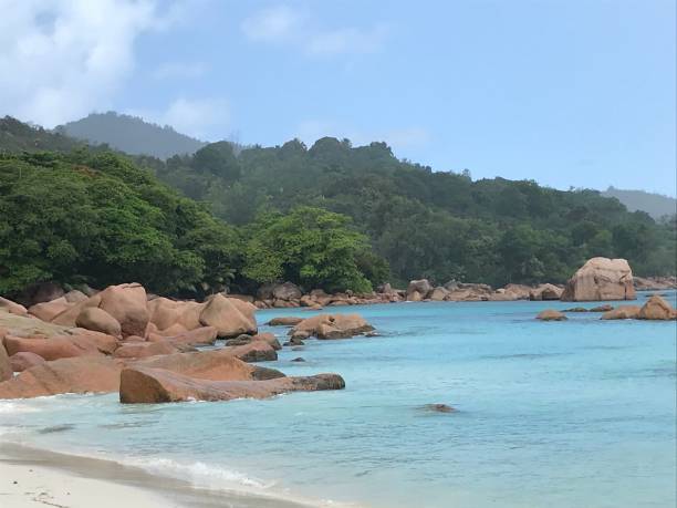 istock Seychelles - praslin - Lazio cove 1315113052