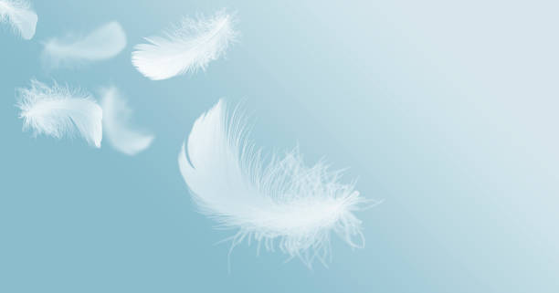 istock Light Fluffy White Feathers Floating in The Sky. 1315113117
