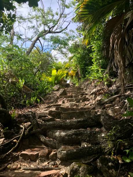 istock Seychelles - curieuse Island - hiking route 1315115275